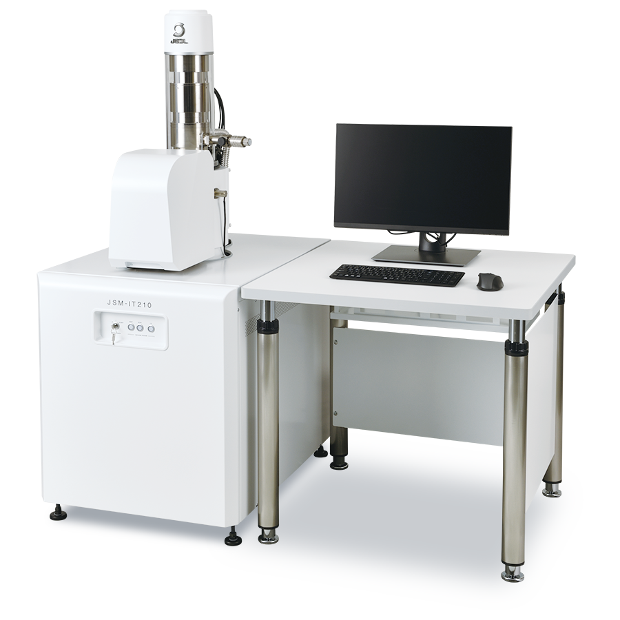 Scanning Electron Microscope (SEM)