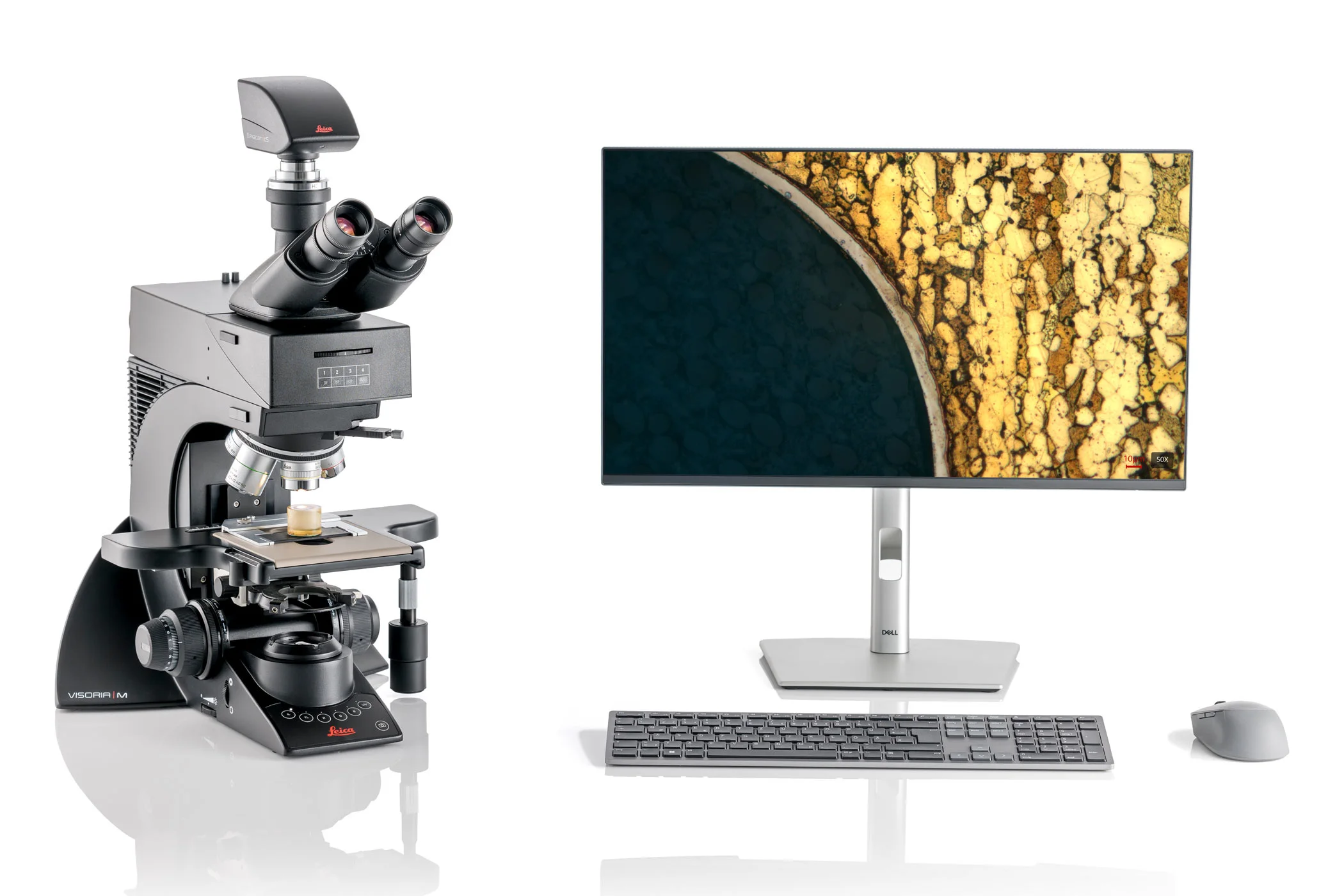Upright Microscopes